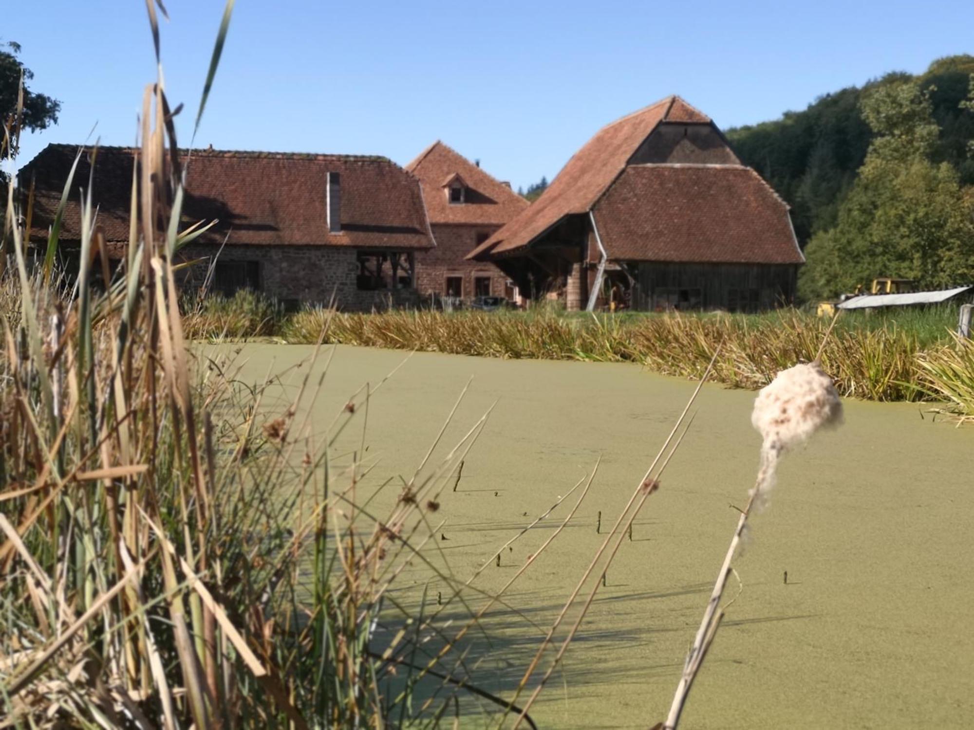 Maison D'Hotes De Charme - Ancien Moulin En Pleine Nature - La Paulusmuehle Soucht Екстер'єр фото