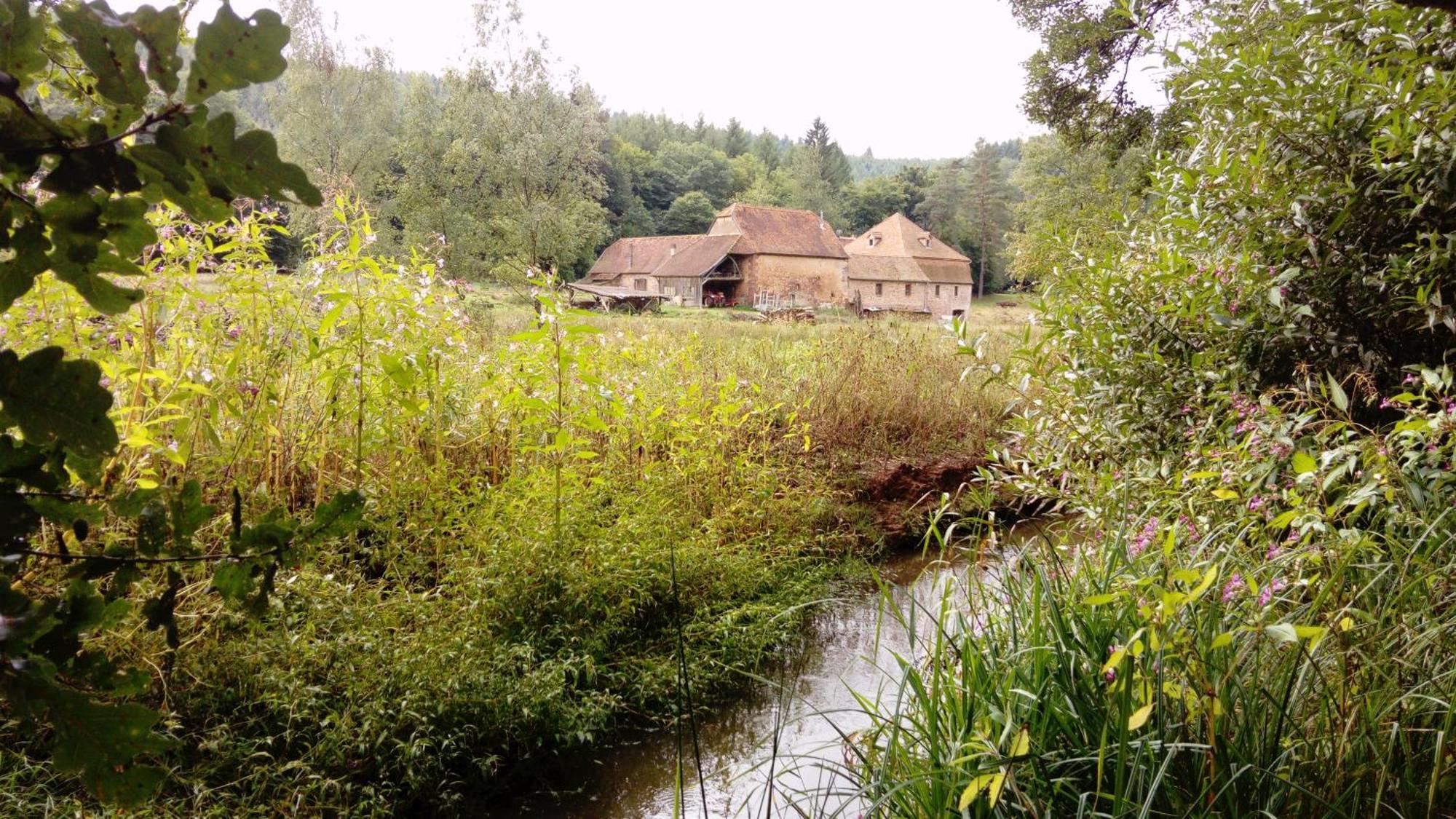 Maison D'Hotes De Charme - Ancien Moulin En Pleine Nature - La Paulusmuehle Soucht Екстер'єр фото