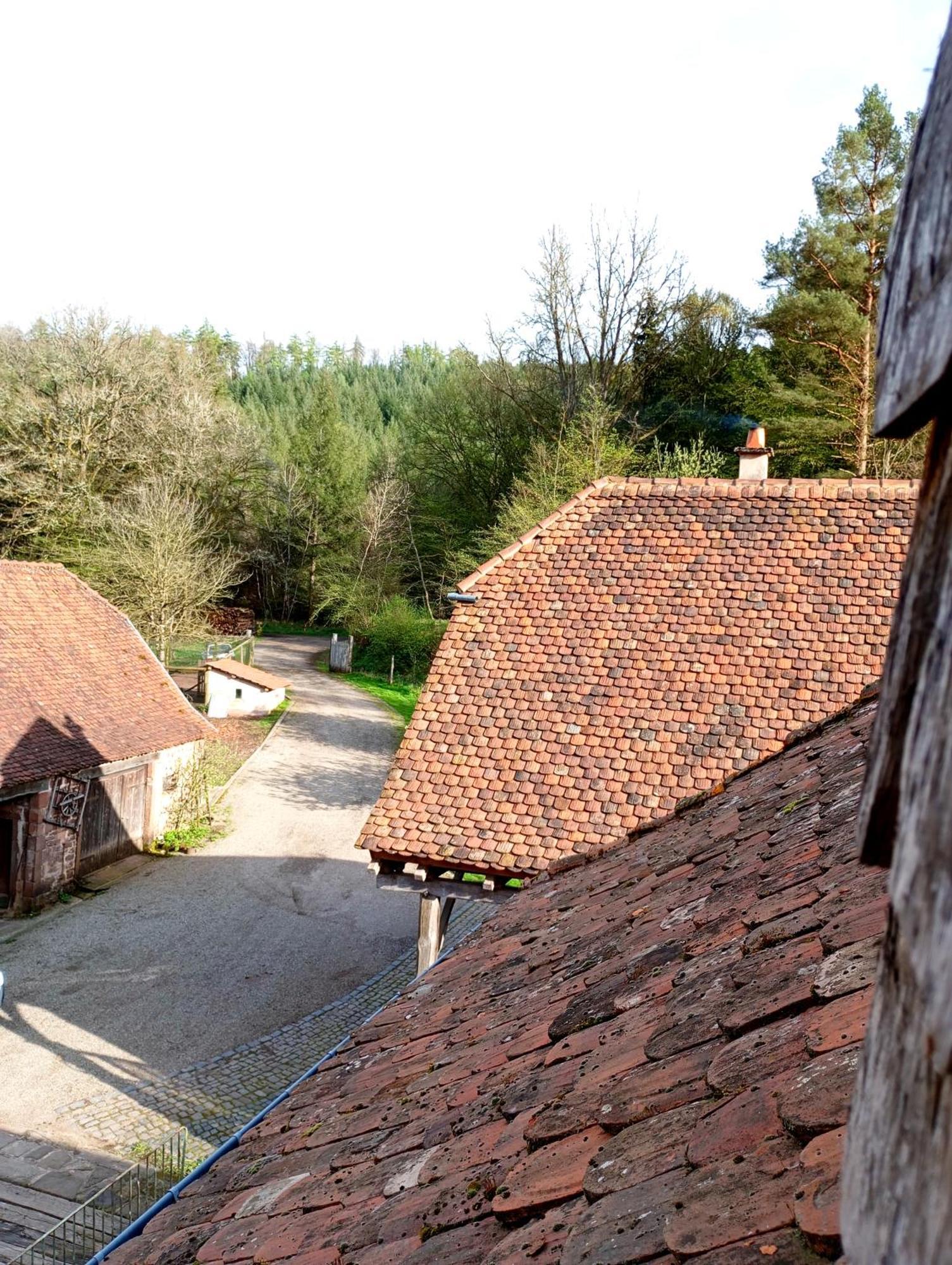 Maison D'Hotes De Charme - Ancien Moulin En Pleine Nature - La Paulusmuehle Soucht Екстер'єр фото