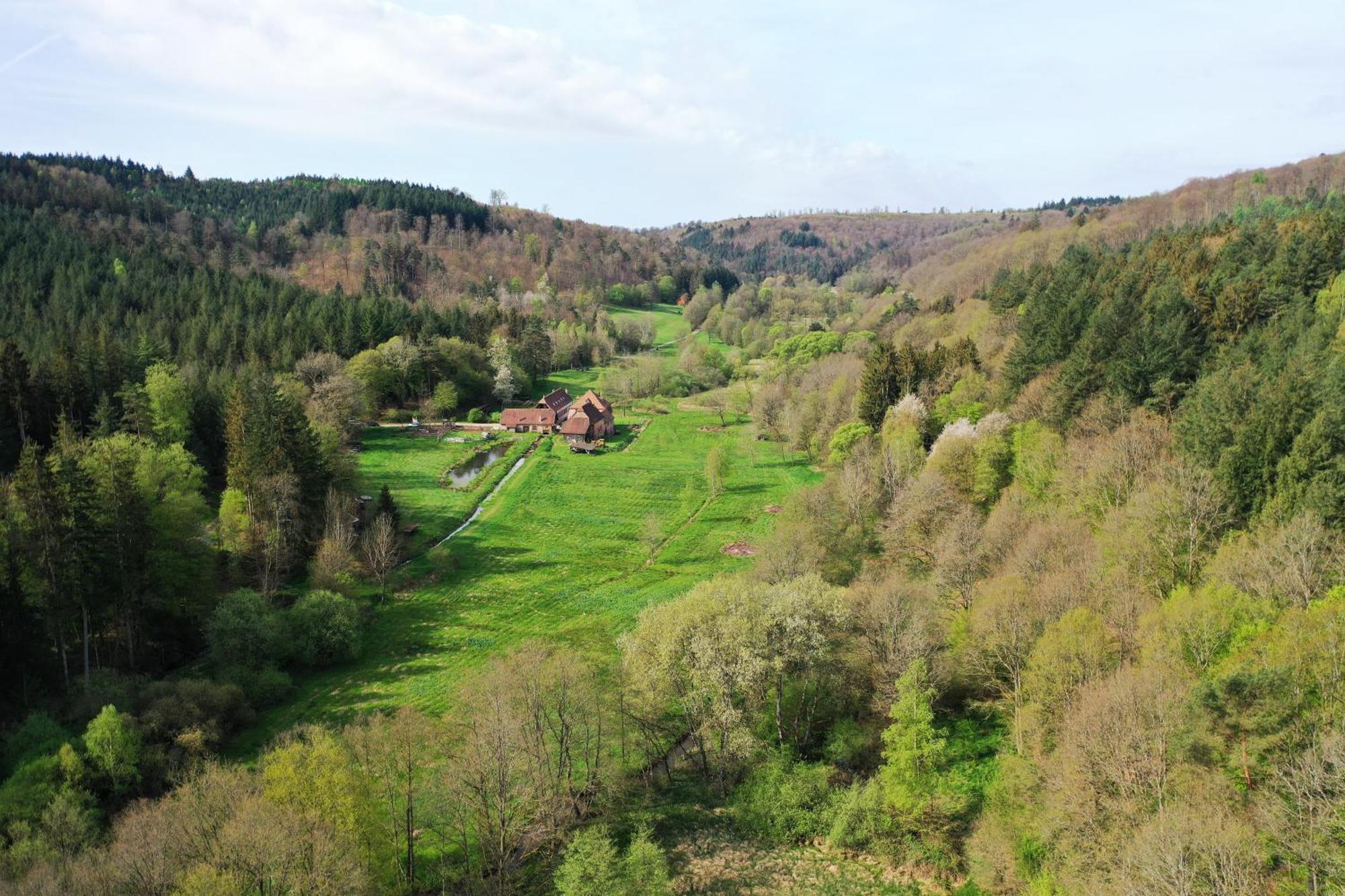 Maison D'Hotes De Charme - Ancien Moulin En Pleine Nature - La Paulusmuehle Soucht Екстер'єр фото