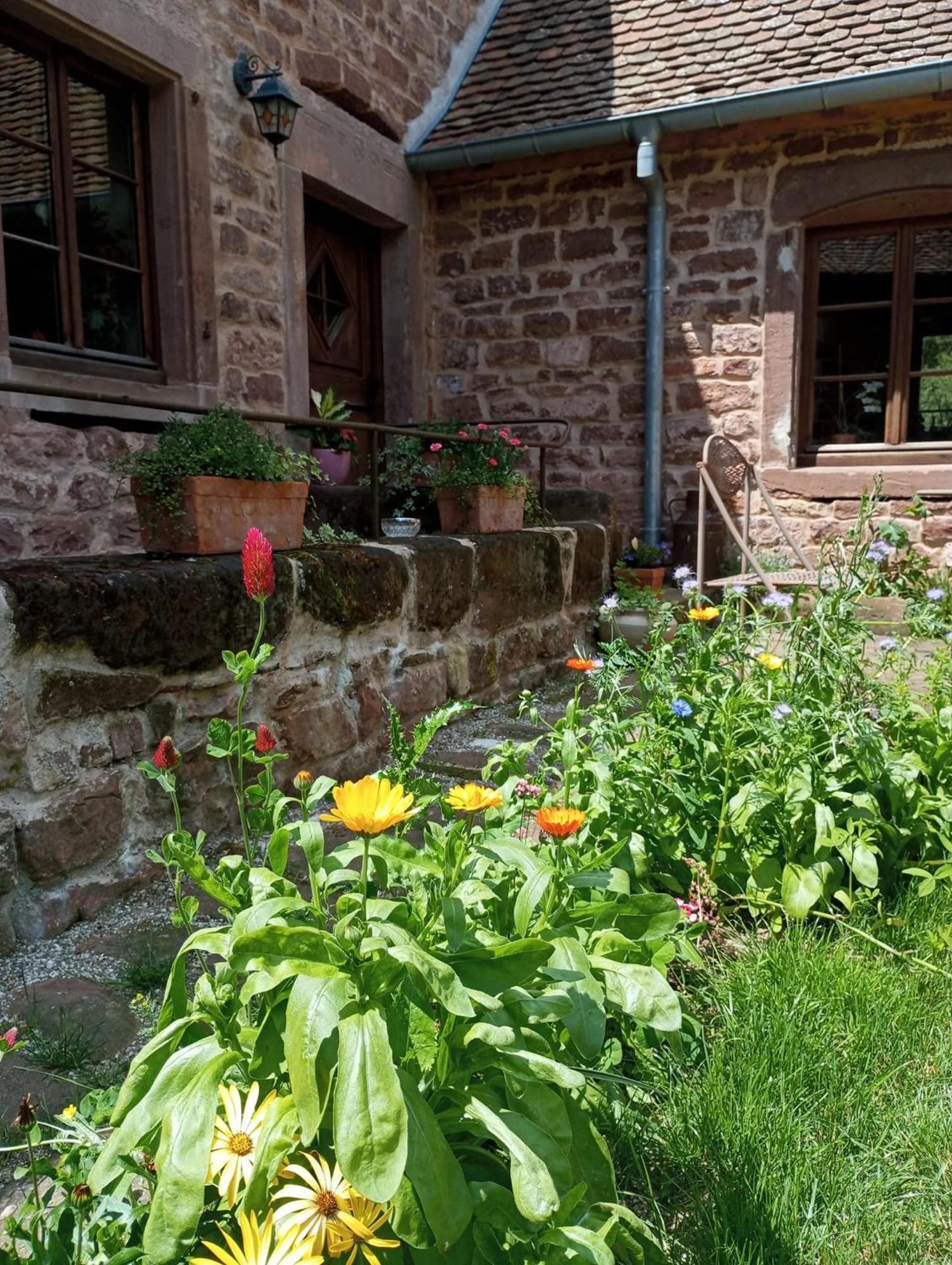 Maison D'Hotes De Charme - Ancien Moulin En Pleine Nature - La Paulusmuehle Soucht Екстер'єр фото